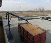 DV CEREAL SAMPLING PROBE stage 5 by ABC Africa Group