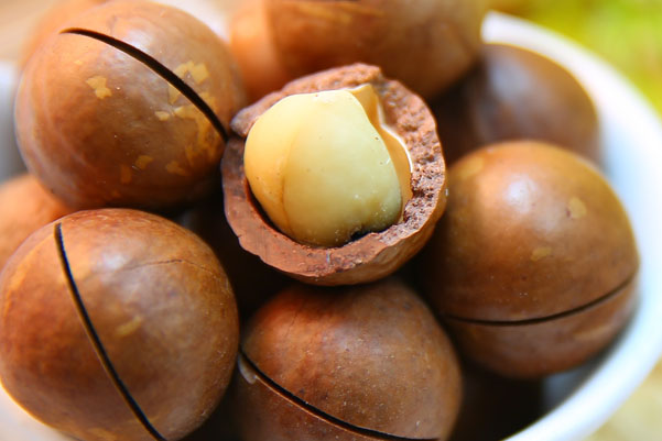 macadamia nuts